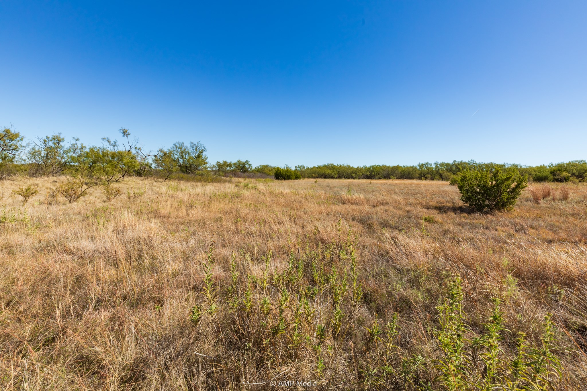 Tbd Us Highway 83 N Ovalo TX 79541