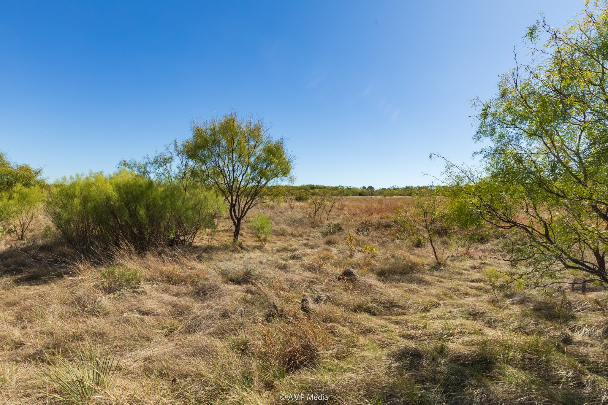 Tbd Us Highway 83 N Ovalo TX 79541