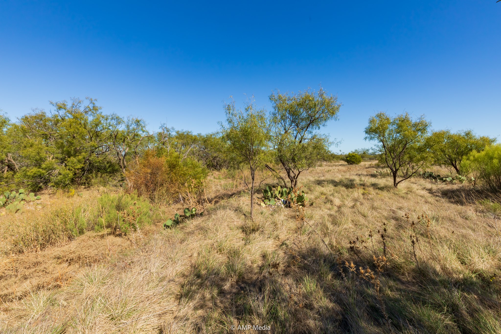 Tbd Us Highway 83 N Ovalo TX 79541
