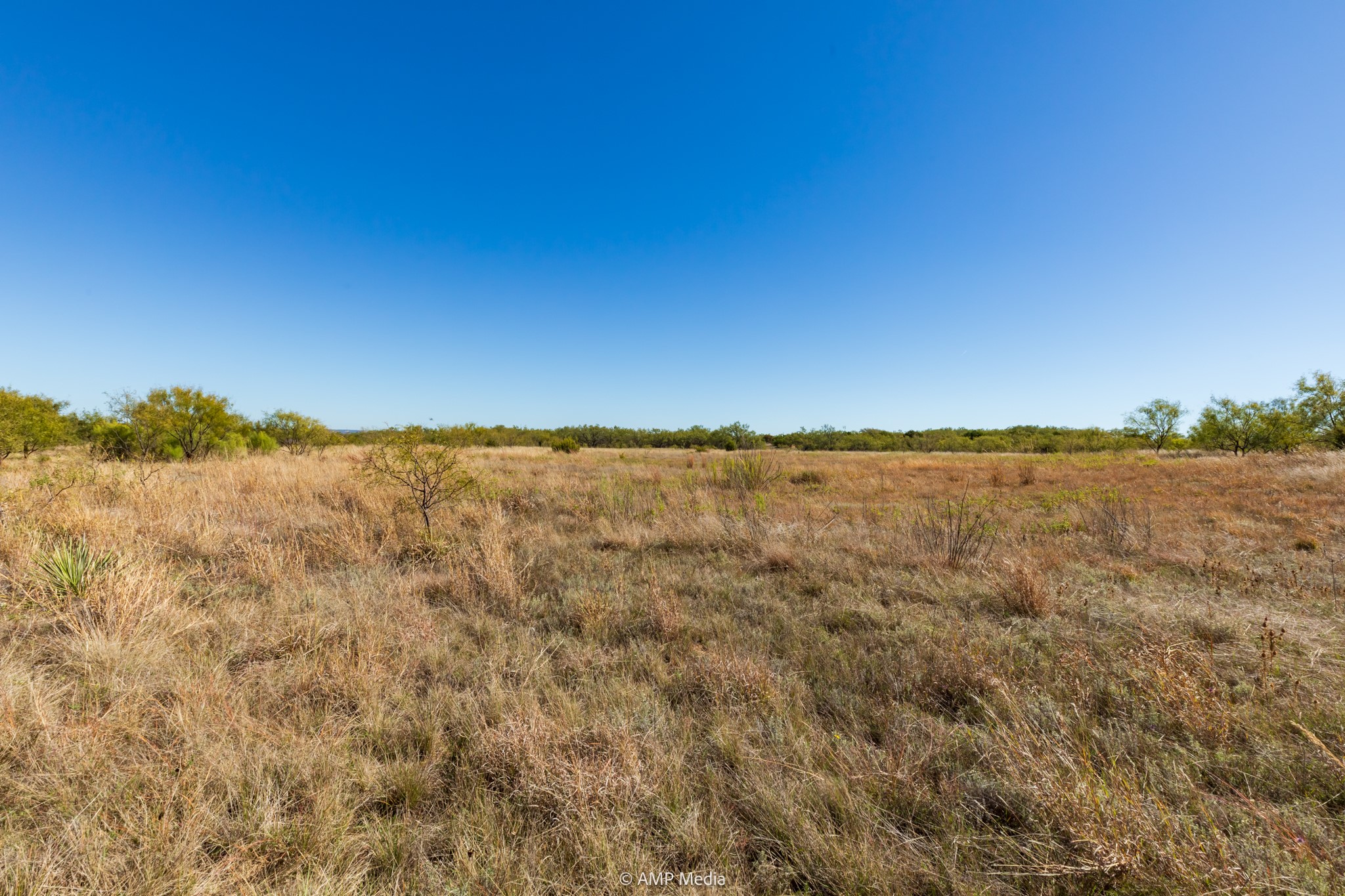 Tbd Us Highway 83 N Ovalo TX 79541