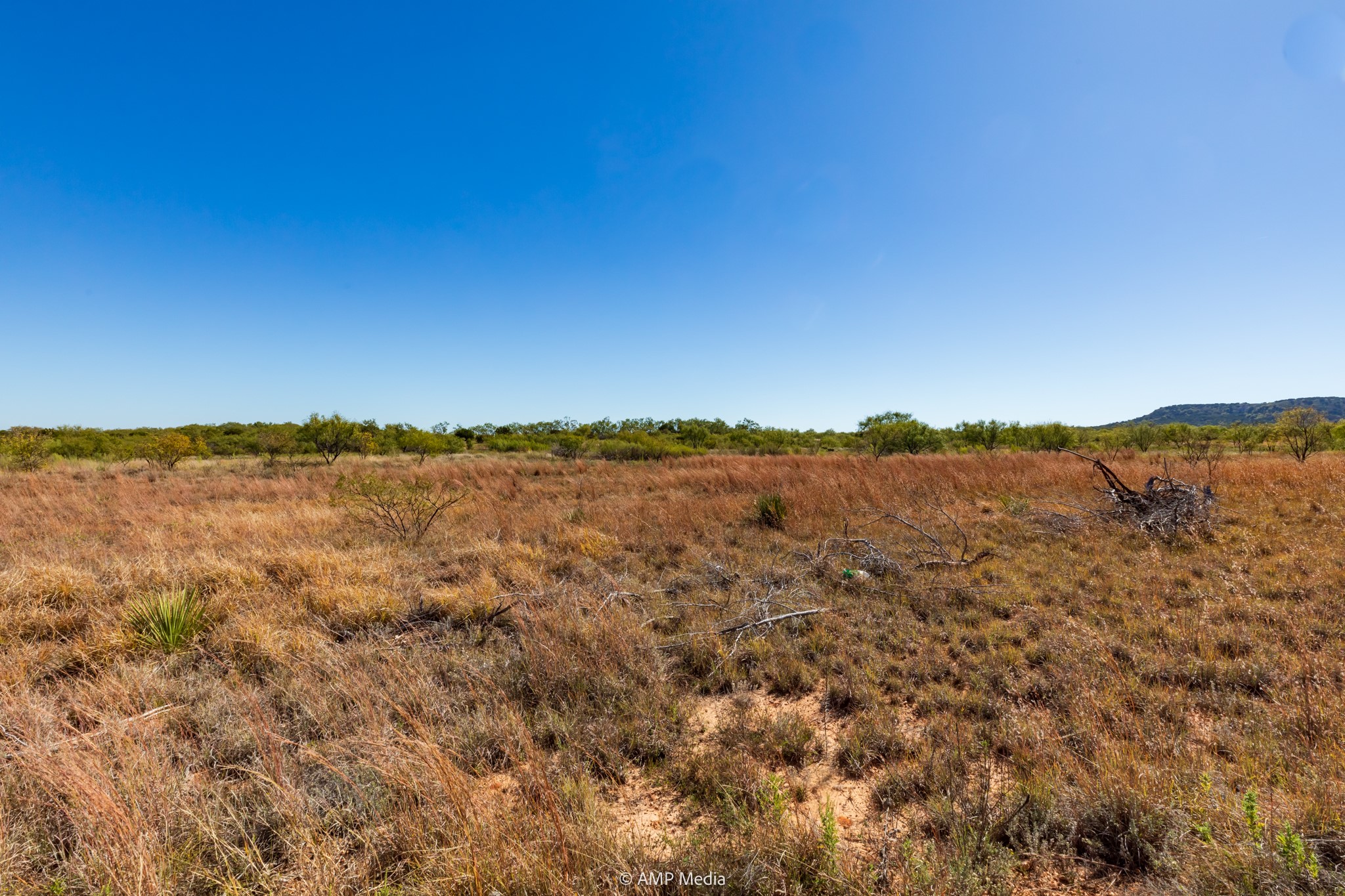 Tbd Us Highway 83 N Ovalo TX 79541