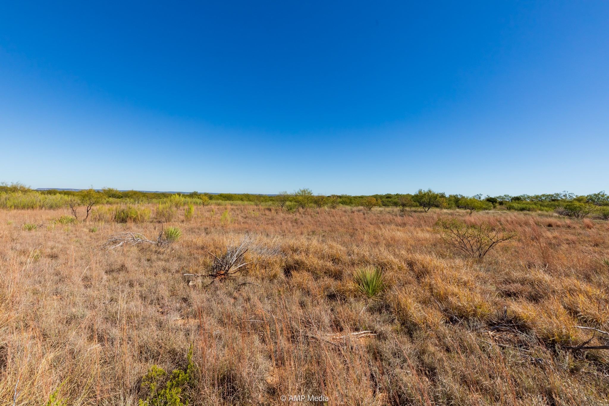 Tbd Us Highway 83 N Ovalo TX 79541