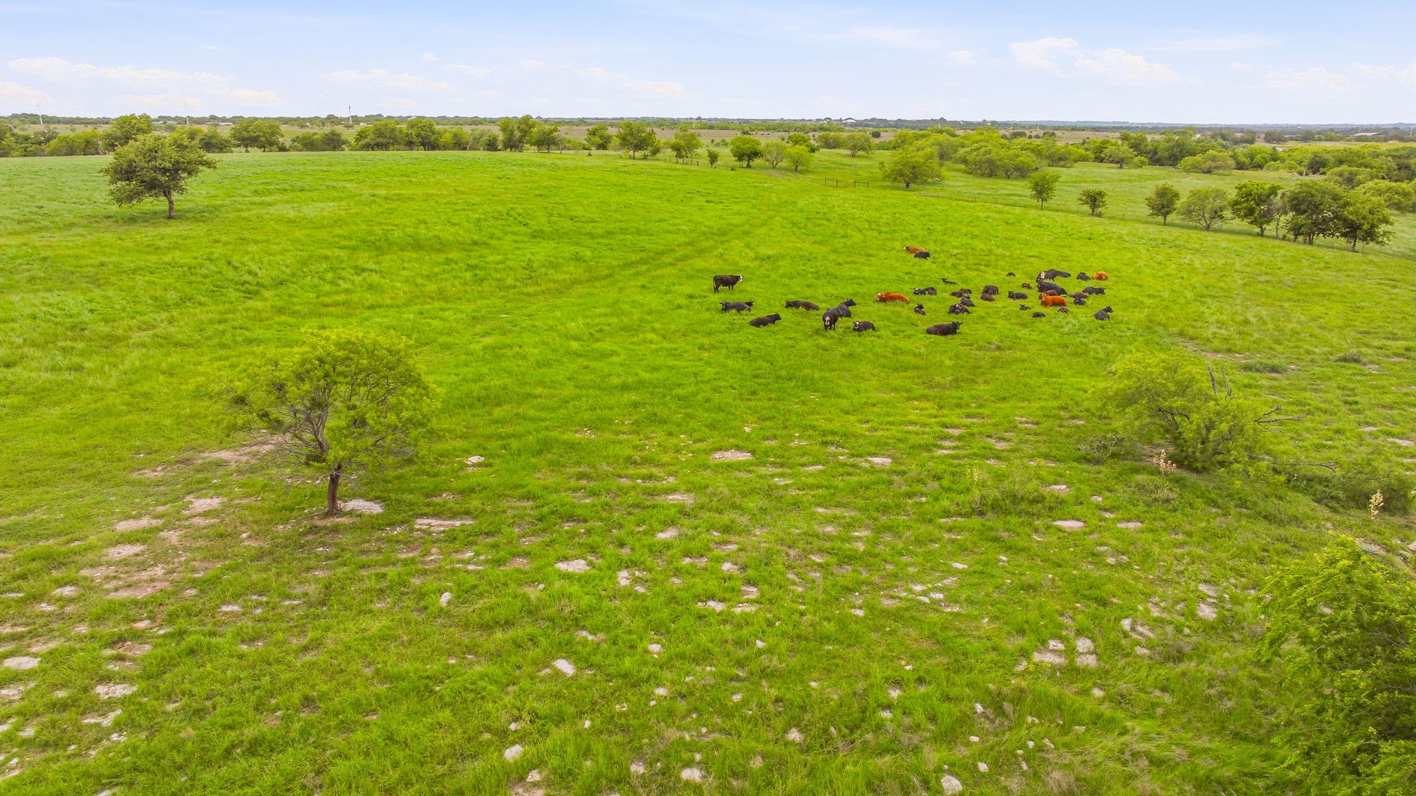 20304 S Us Highway 377 Dublin TX 76446