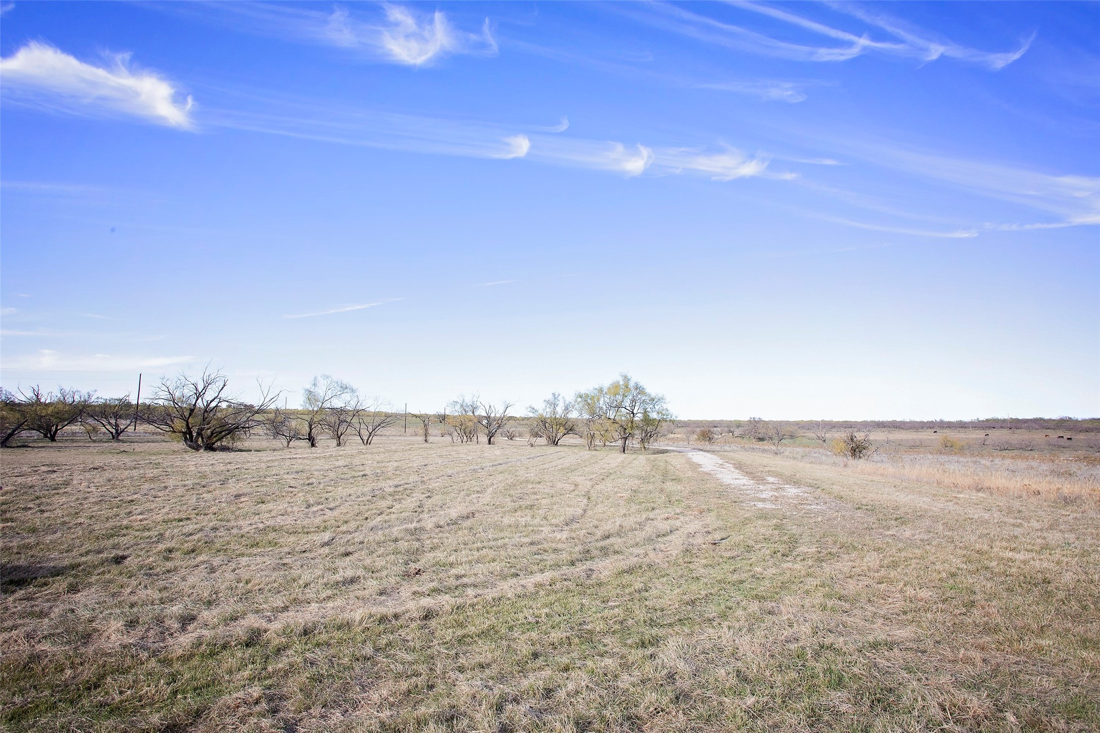 0000 Turtle Hole Road Graham TX 76450