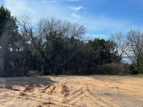 1272 Paint Brush Court Whitney TX 76692