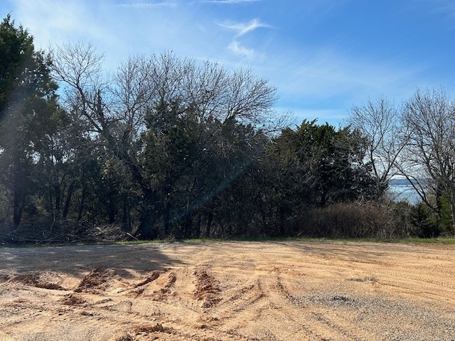 1272 Paint Brush Court Whitney TX 76692