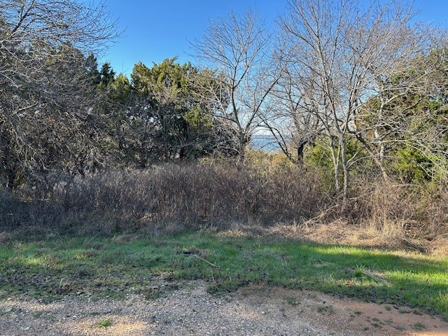 1272 Paint Brush Court Whitney TX 76692