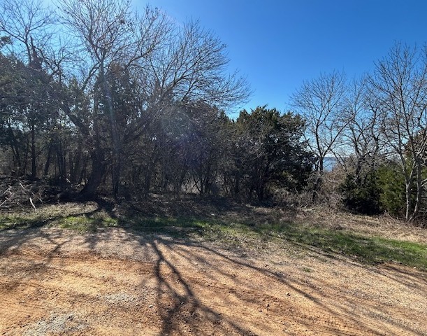 1272 Paint Brush Court Whitney TX 76692