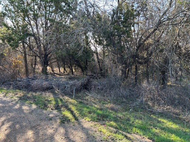 1272 Paint Brush Court Whitney TX 76692