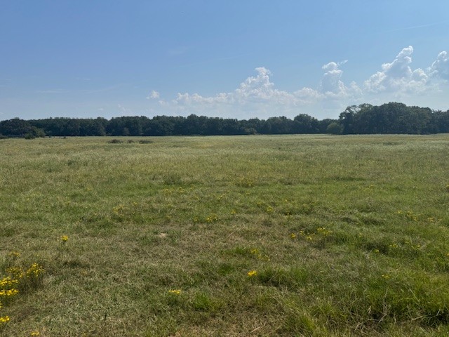 02 County Road 2295 Telephone TX 75488