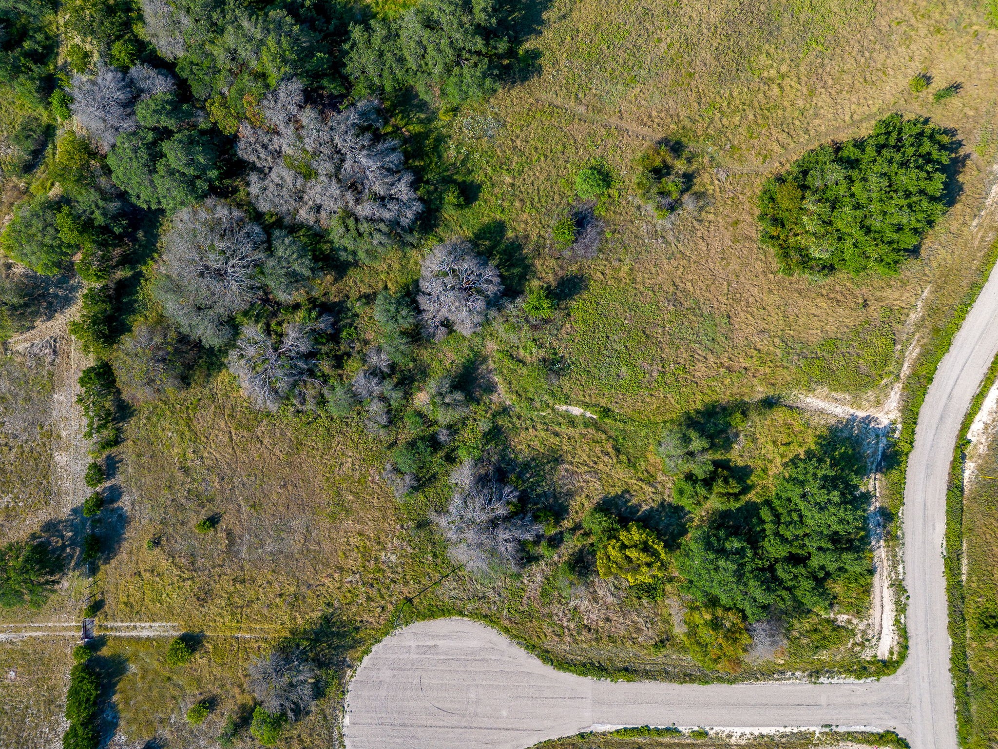 1034 Hidden View Court Glen Rose TX 76043
