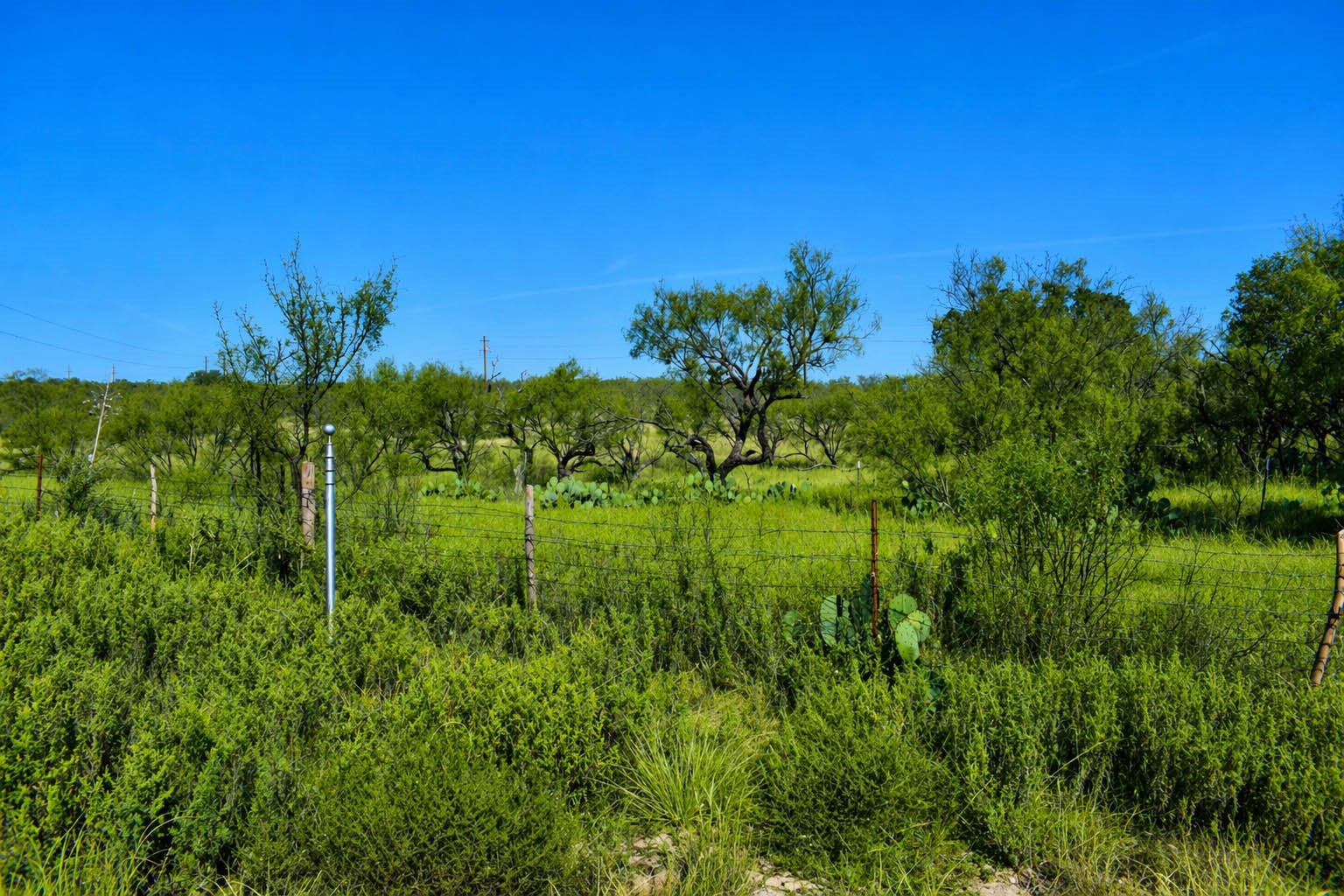 60 A Cr 144 Brady TX 76858