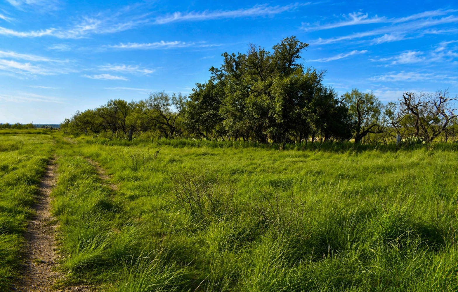 60 A Cr 144 Brady TX 76858