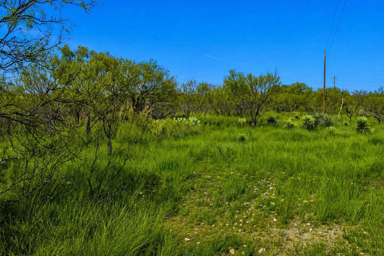 60 A Cr 144 Brady TX 76858
