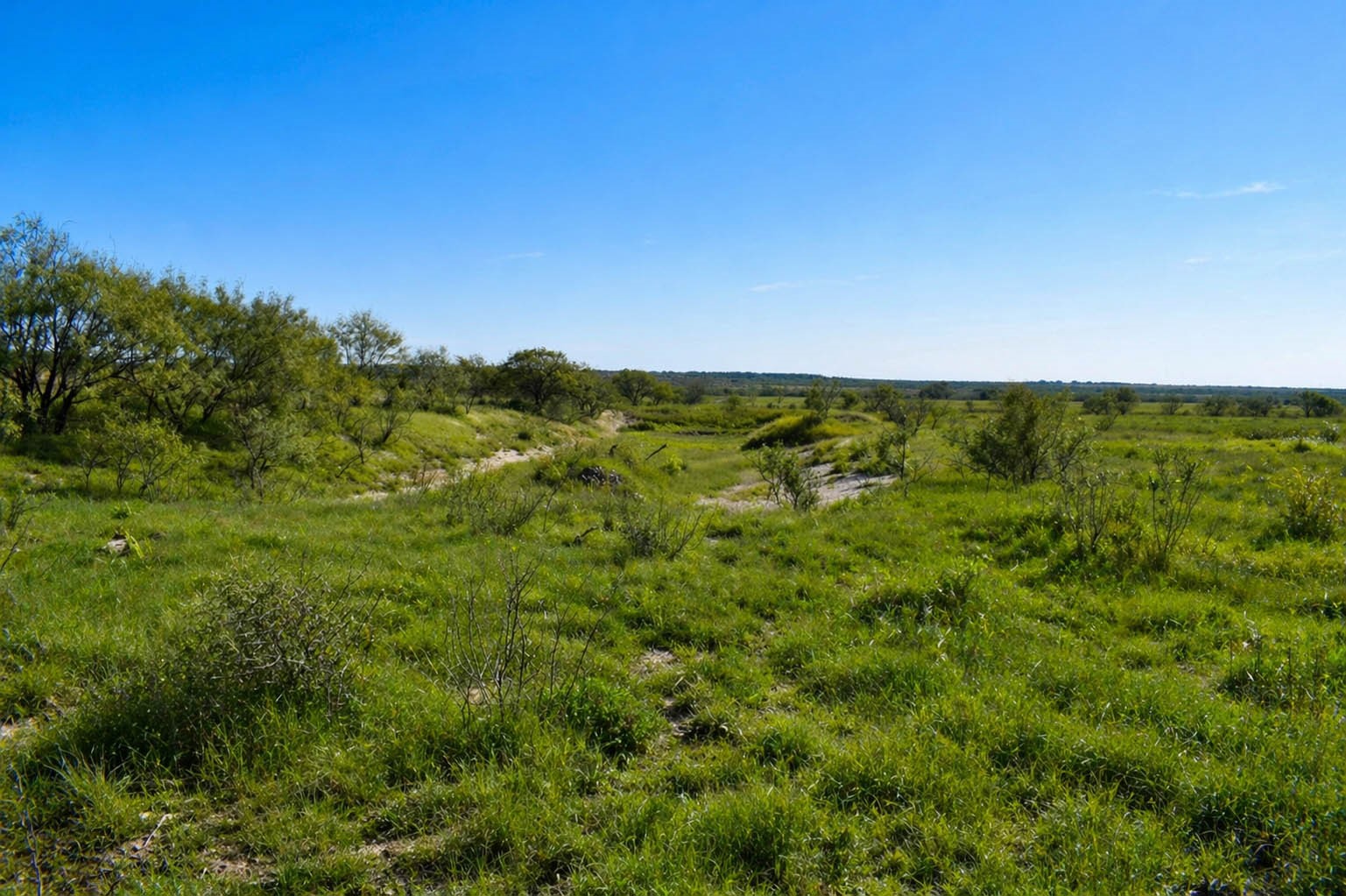 60 A Cr 144 Brady TX 76858