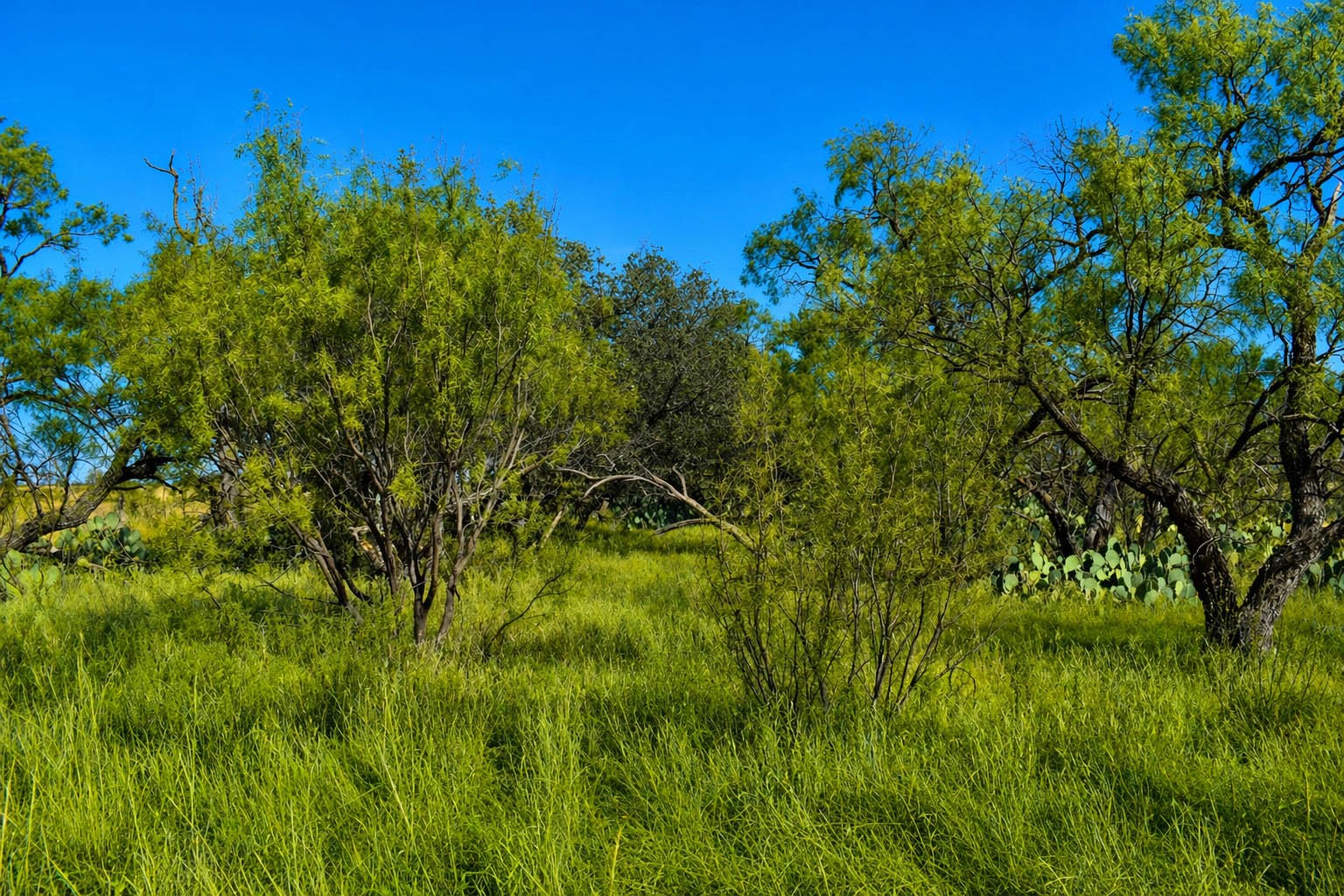 60 A Cr 144 Brady TX 76858