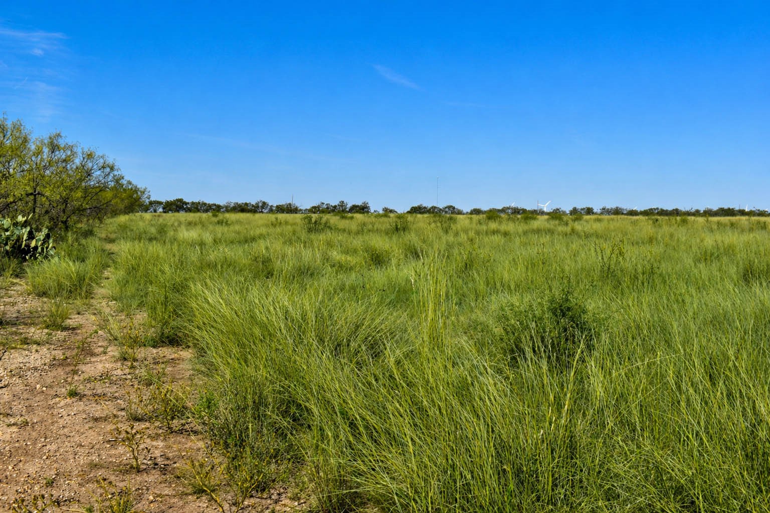 60 A Cr 144 Brady TX 76858