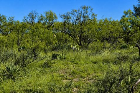 60 A Cr 144 Brady TX 76858
