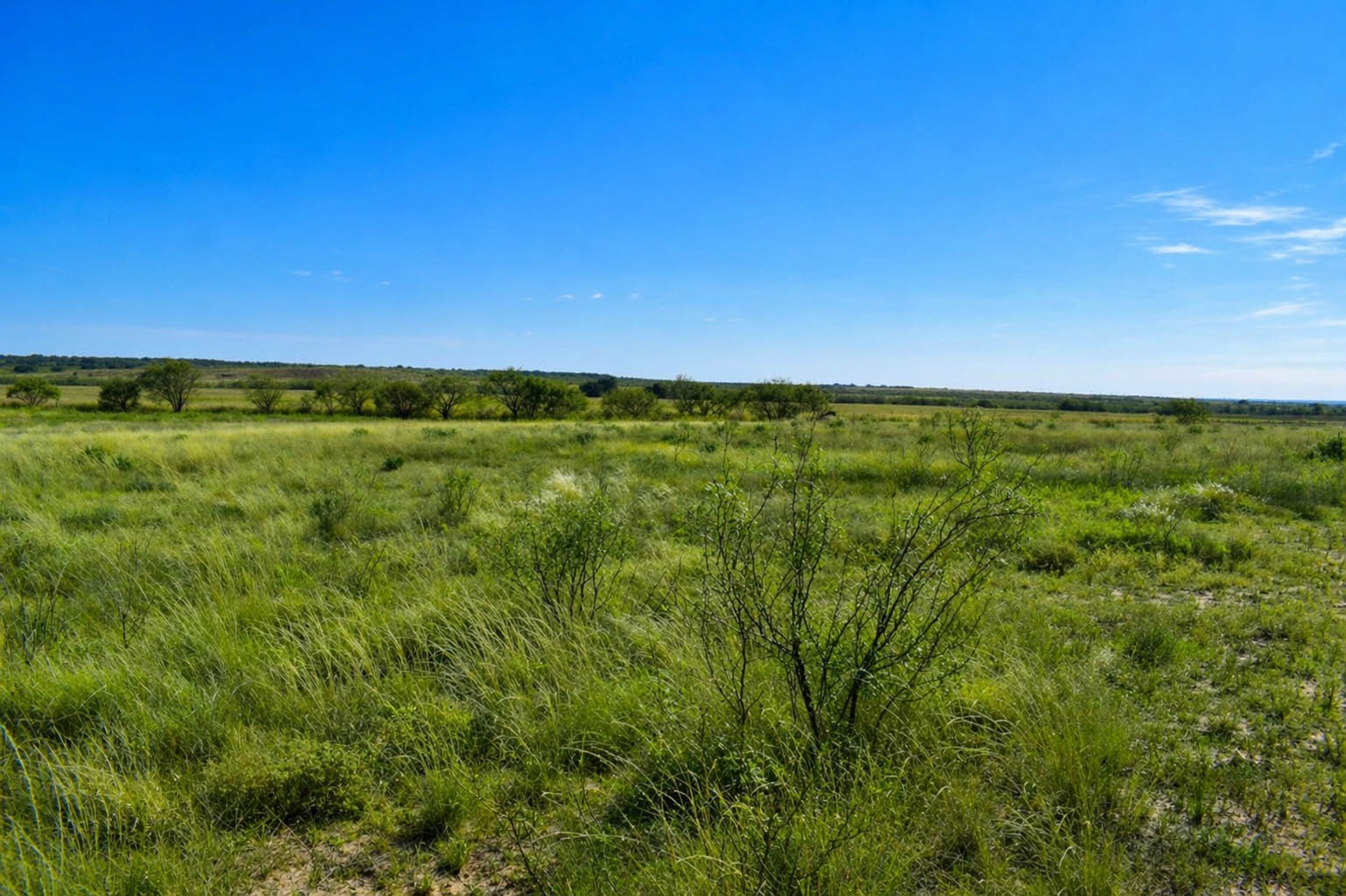 60 A Cr 144 Brady TX 76858