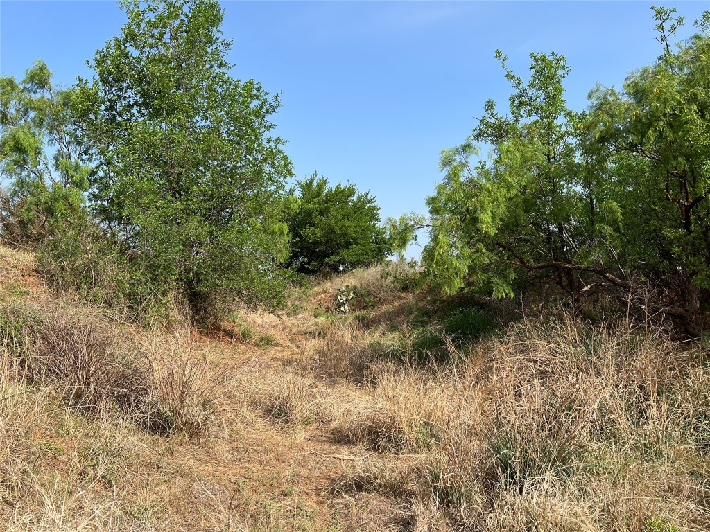Tbd Us 277 Bronte TX 76933