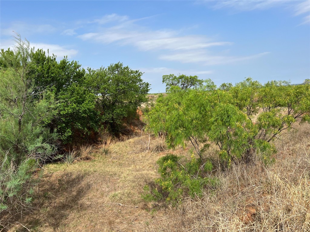 Tbd Us 277 Bronte TX 76933