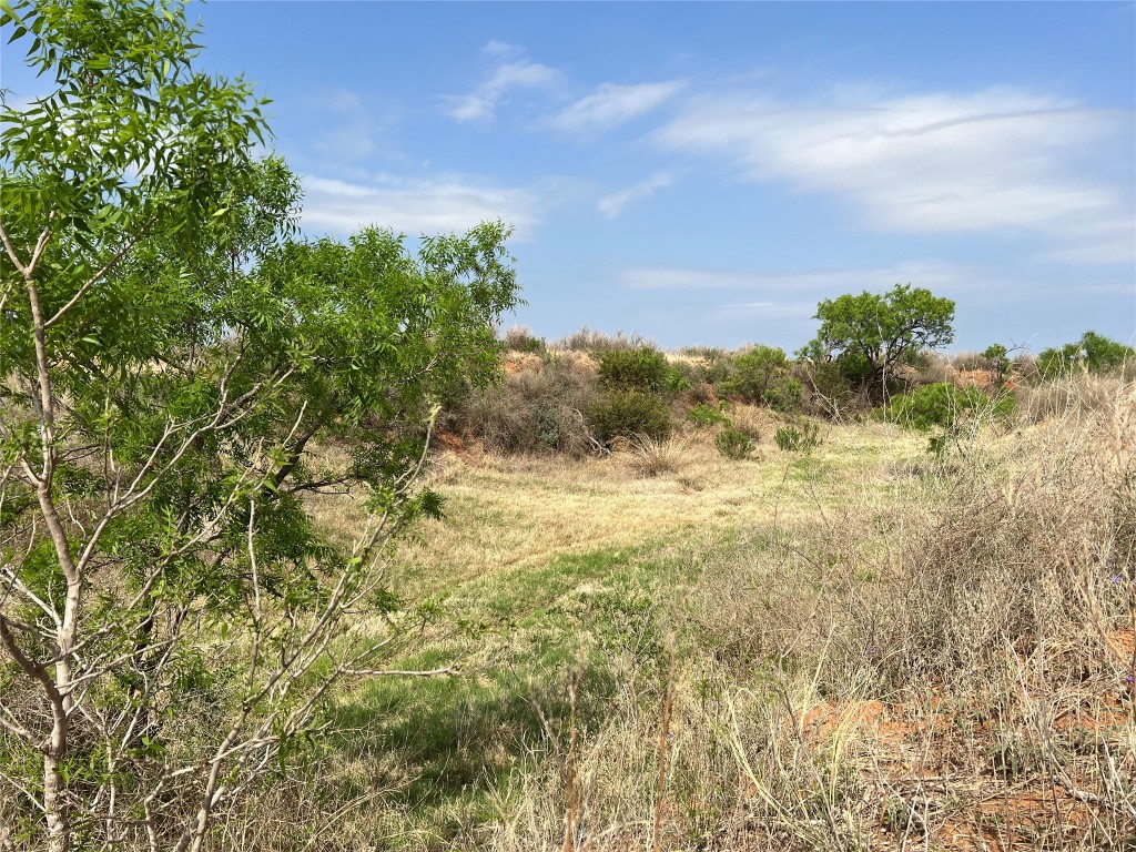 Tbd Us 277 Bronte TX 76933