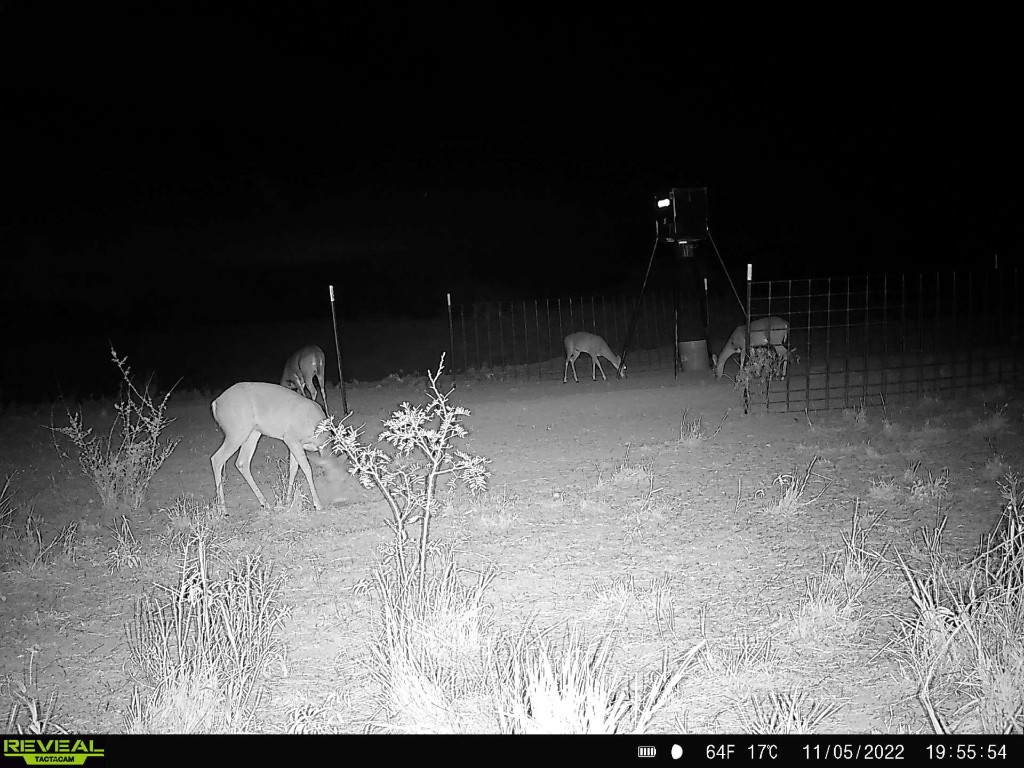 Tbd Us 277 Bronte TX 76933