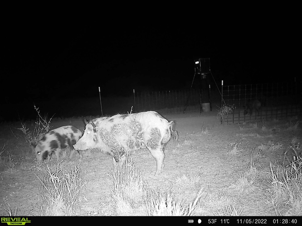 Tbd Us 277 Bronte TX 76933