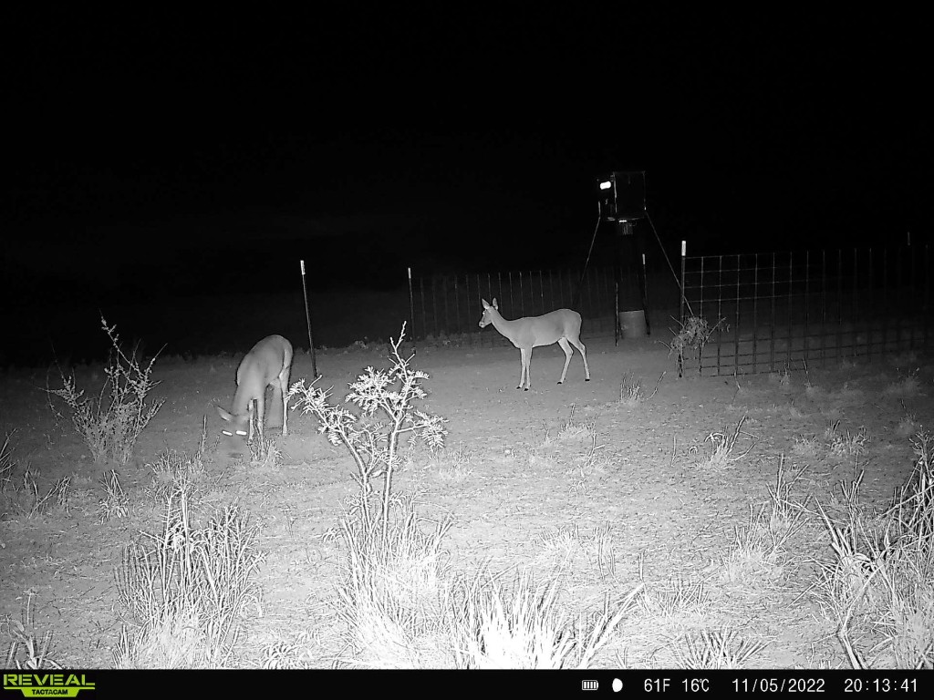 Tbd Us 277 Bronte TX 76933