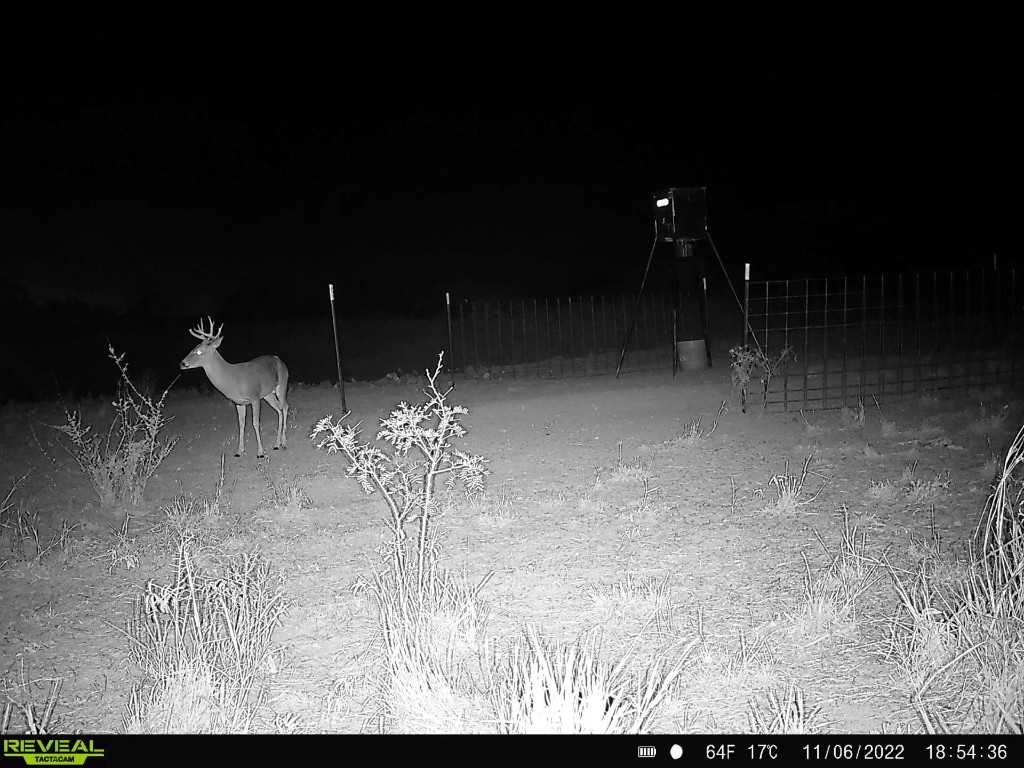 Tbd Us 277 Bronte TX 76933