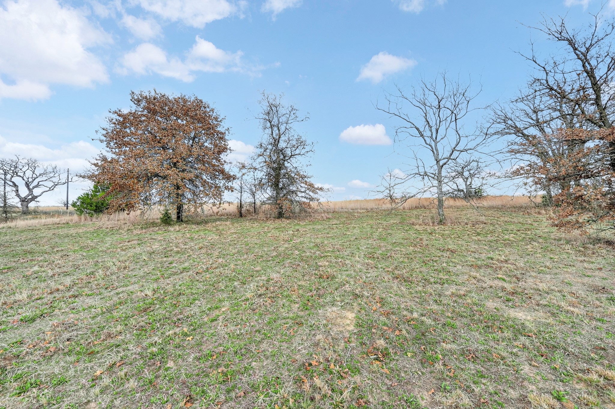 2040 Mustang Ridge Perrin TX 76486