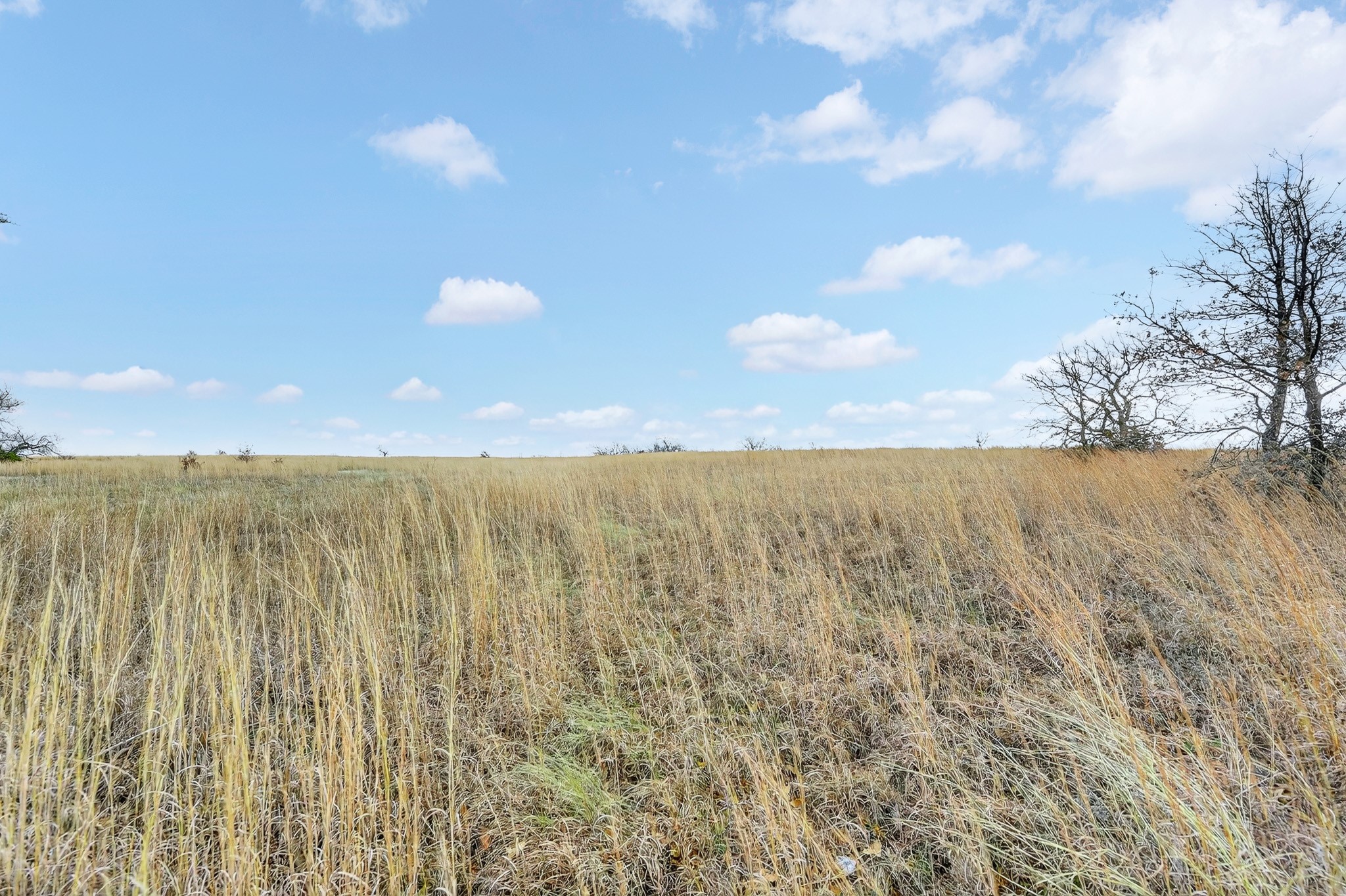 2040 Mustang Ridge Perrin TX 76486