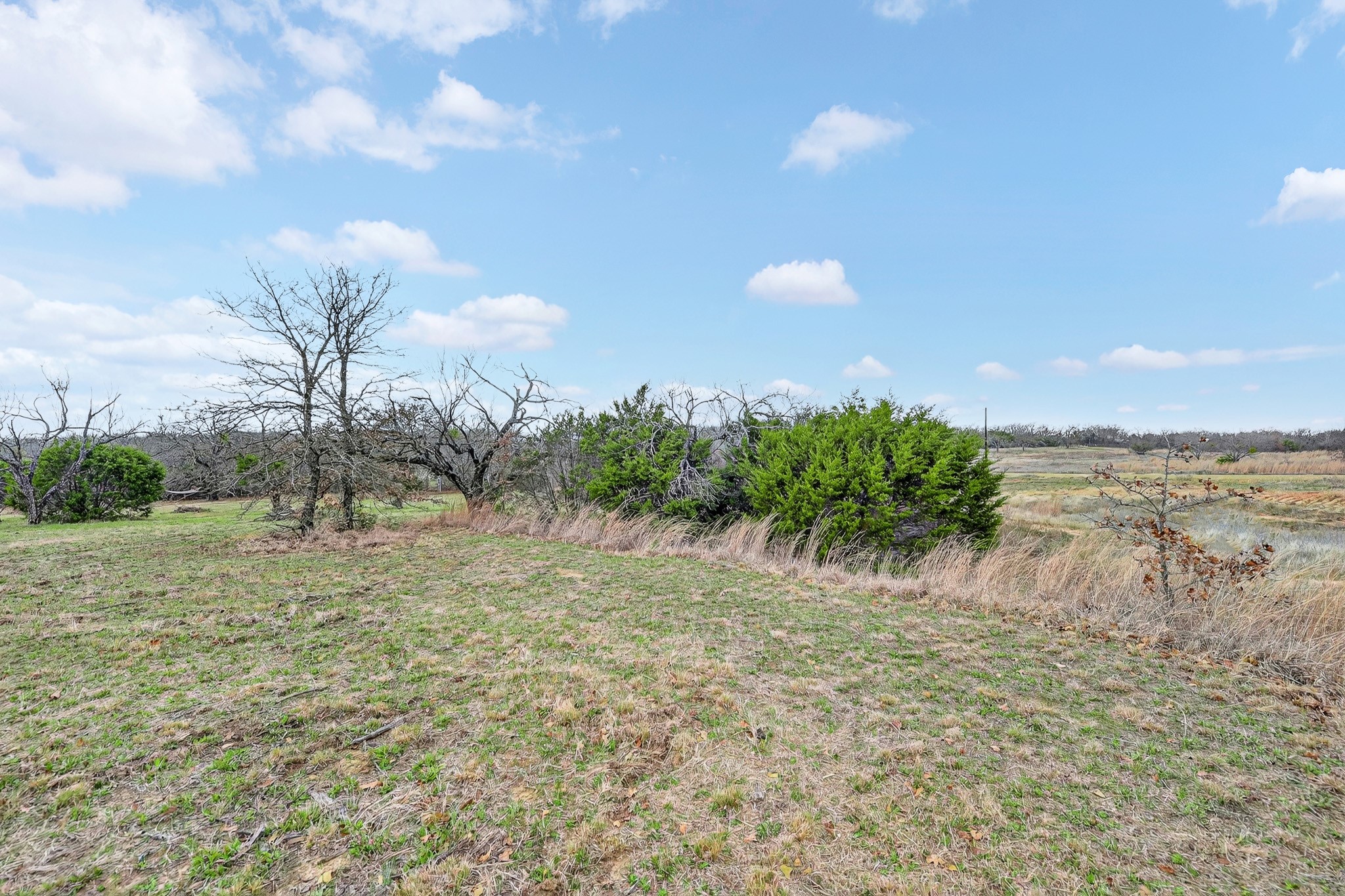 2040 Mustang Ridge Perrin TX 76486