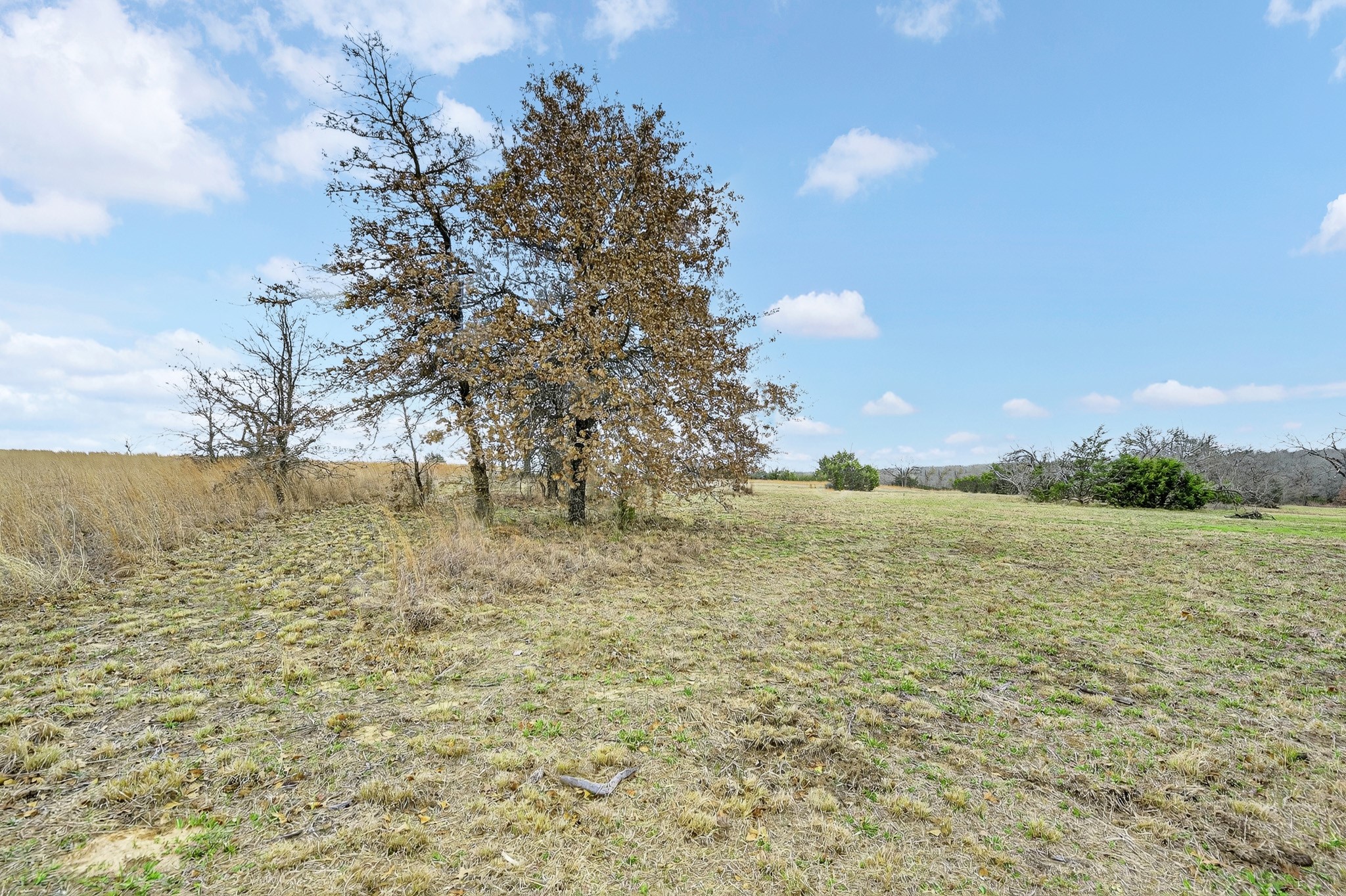 2040 Mustang Ridge Perrin TX 76486