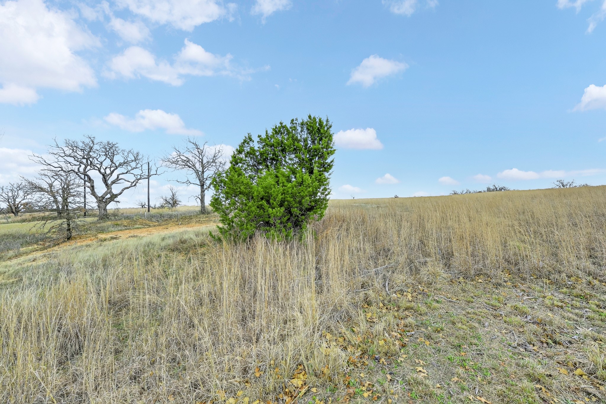 2040 Mustang Ridge Perrin TX 76486