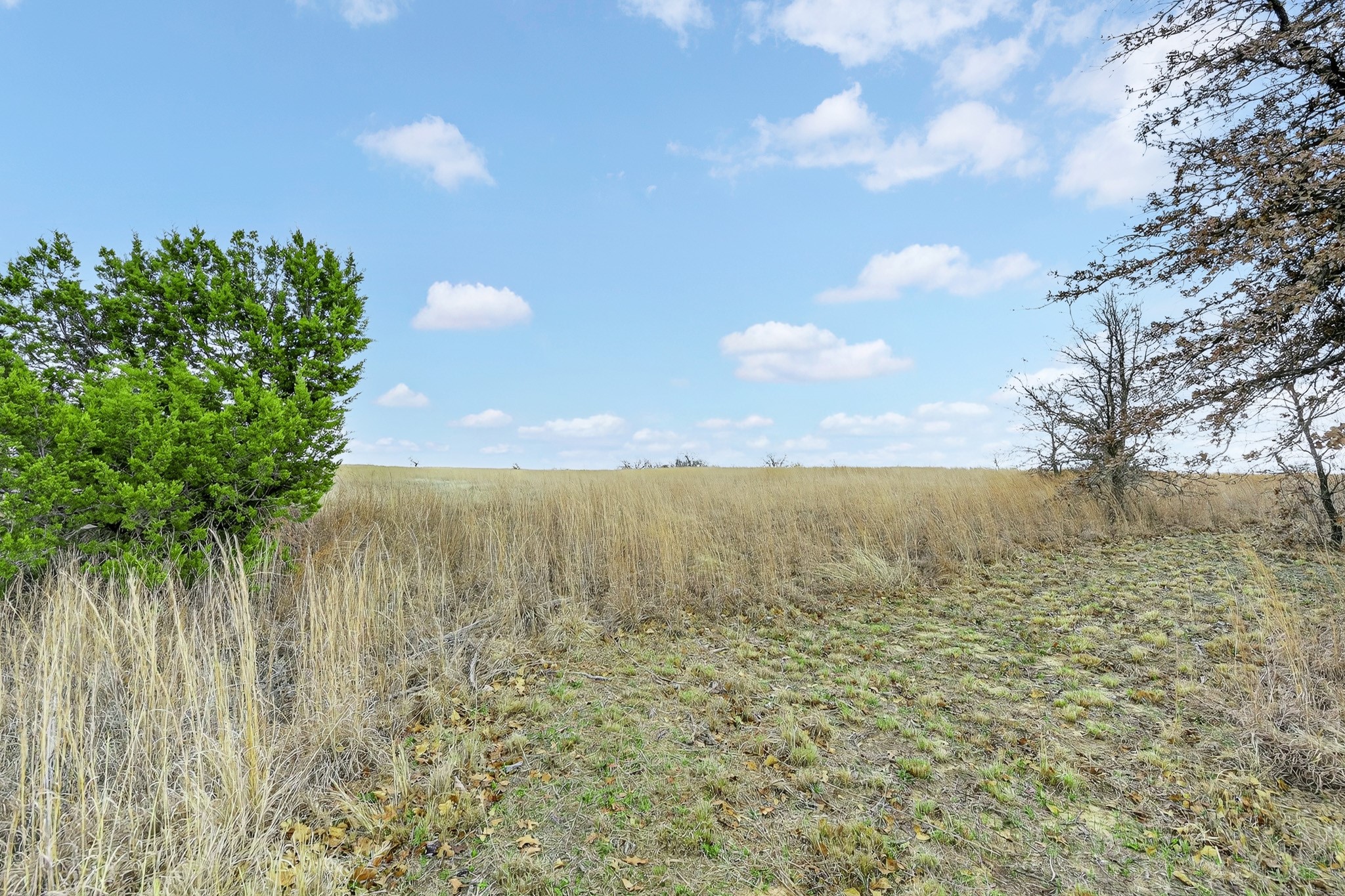 2040 Mustang Ridge Perrin TX 76486