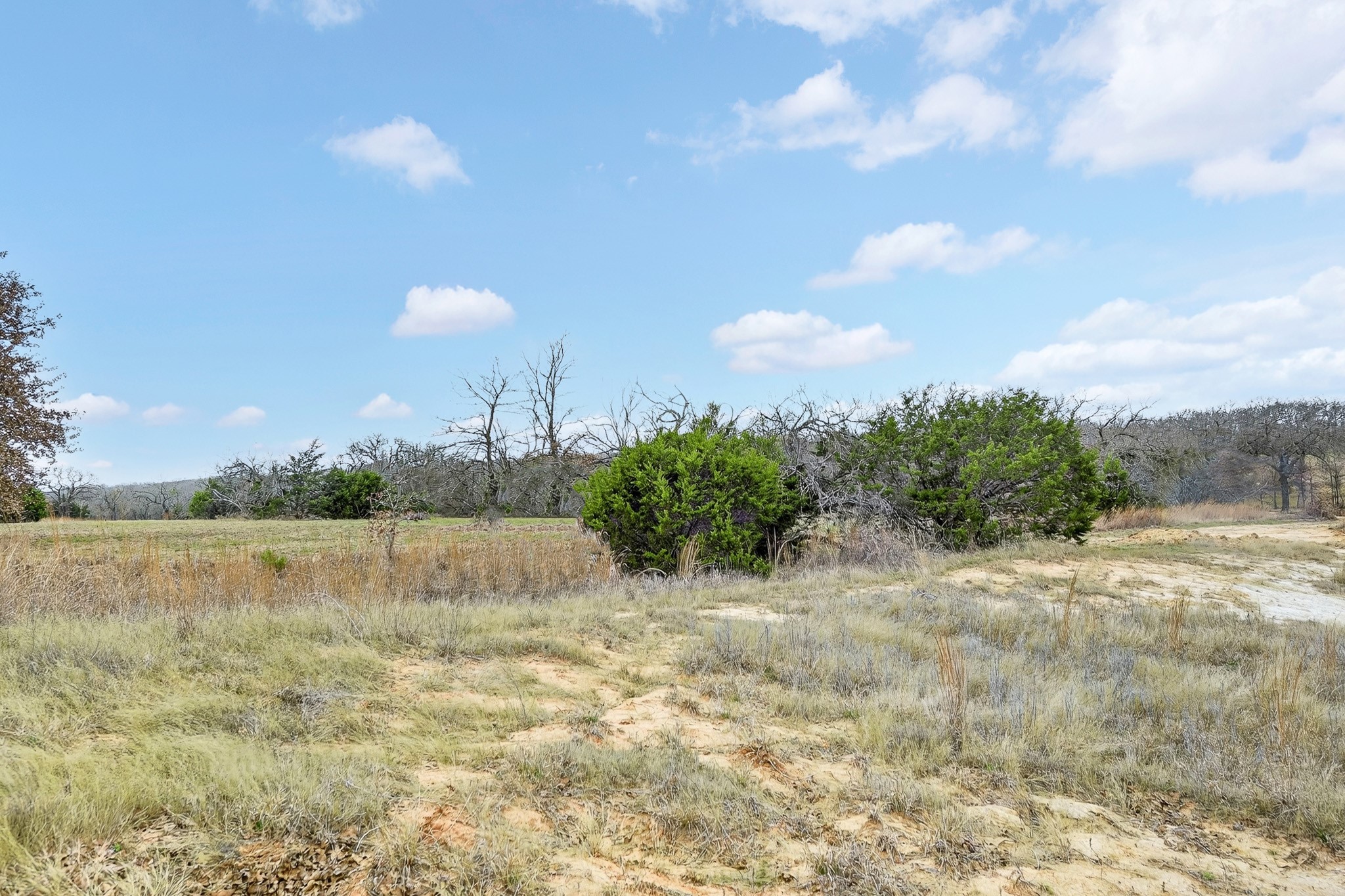 2040 Mustang Ridge Perrin TX 76486
