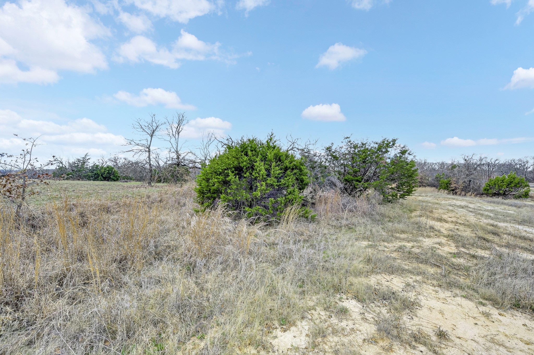 2040 Mustang Ridge Perrin TX 76486
