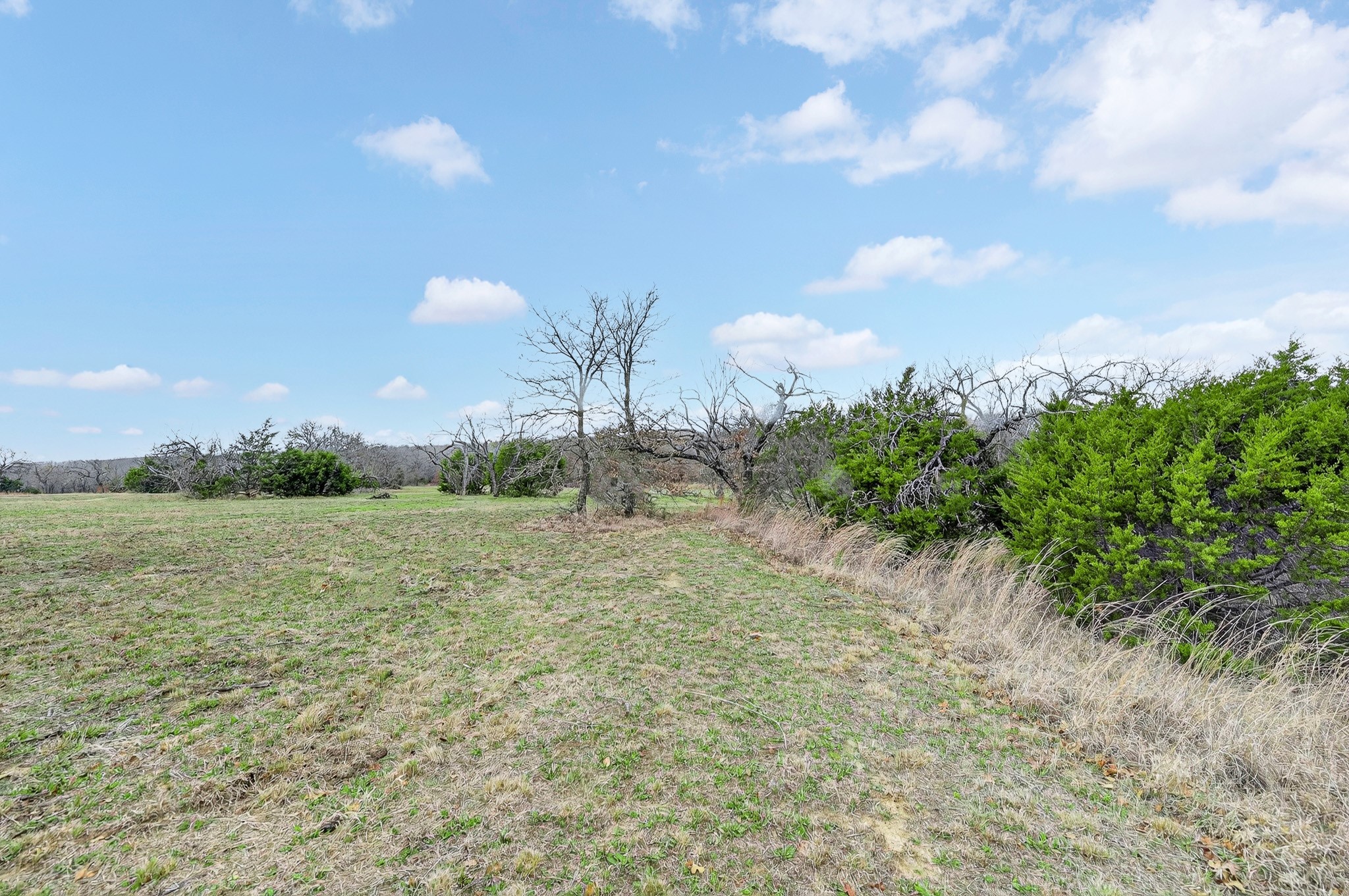 2040 Mustang Ridge Perrin TX 76486