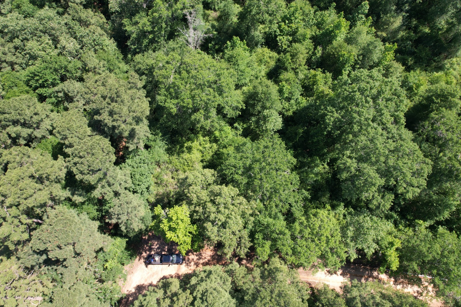 Tbd-g County Road 4021 Timpson TX 75975