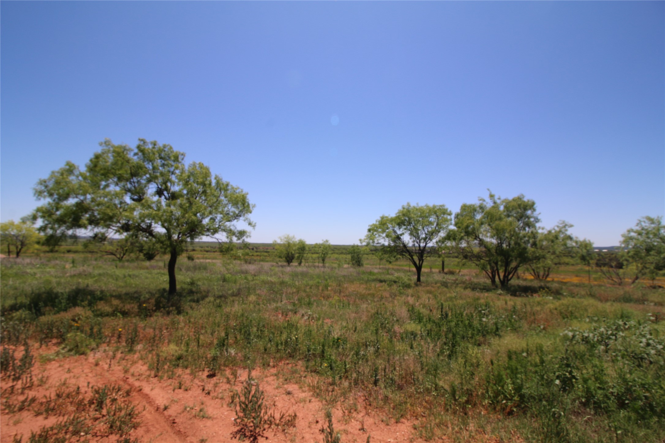Lot 7 Marshal Trail Tuscola TX 79562