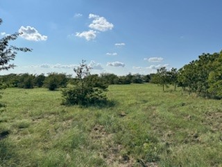 Tbd County Road 4000 Gainesville TX 76240
