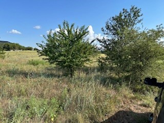 Tbd County Road 4000 Gainesville TX 76240