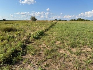 Tbd County Road 4000 Gainesville TX 76240