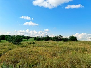Tbd County Road 4000 Gainesville TX 76240