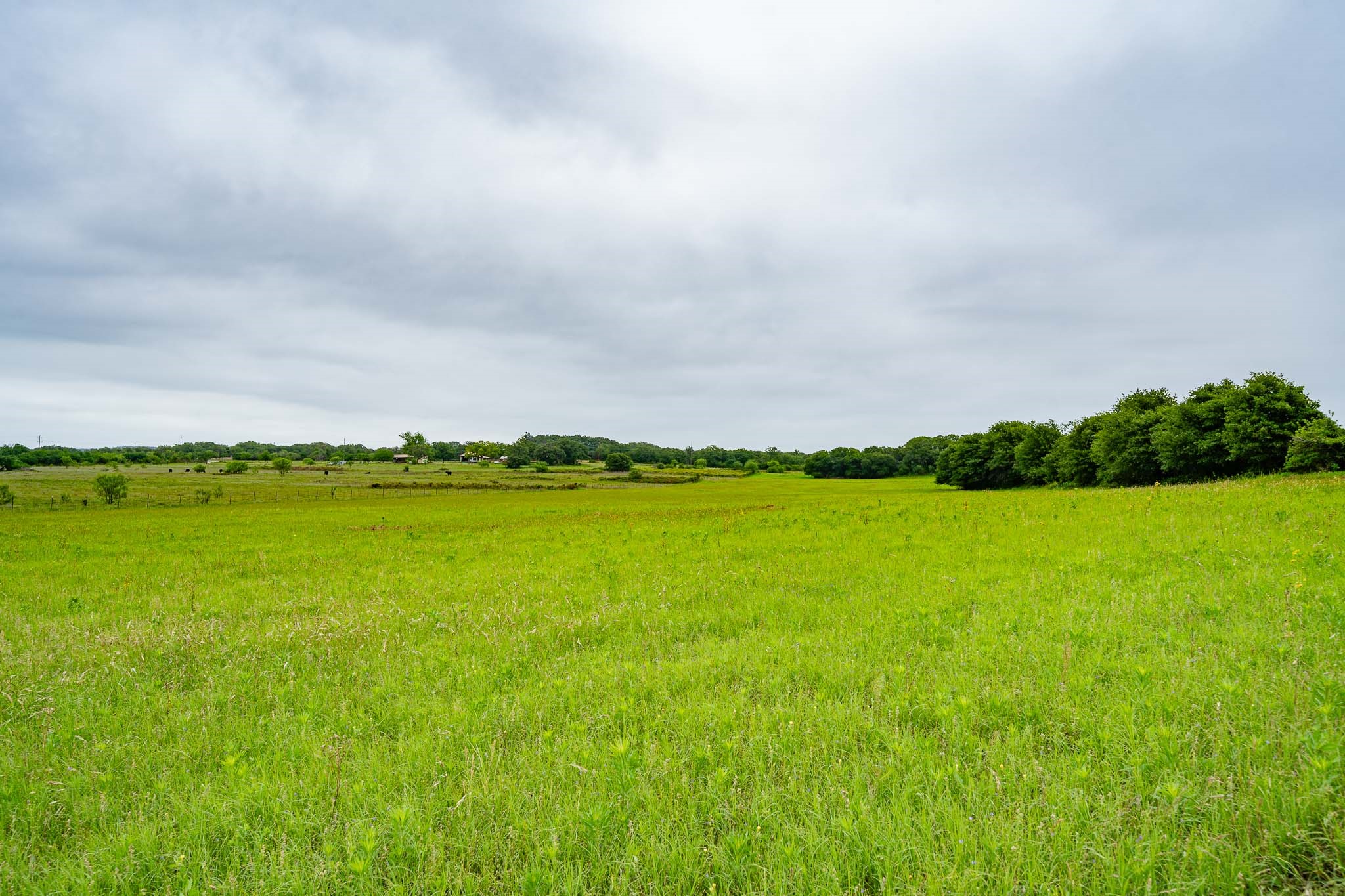 Tbd Fm 880 S Cross Plains TX 76443