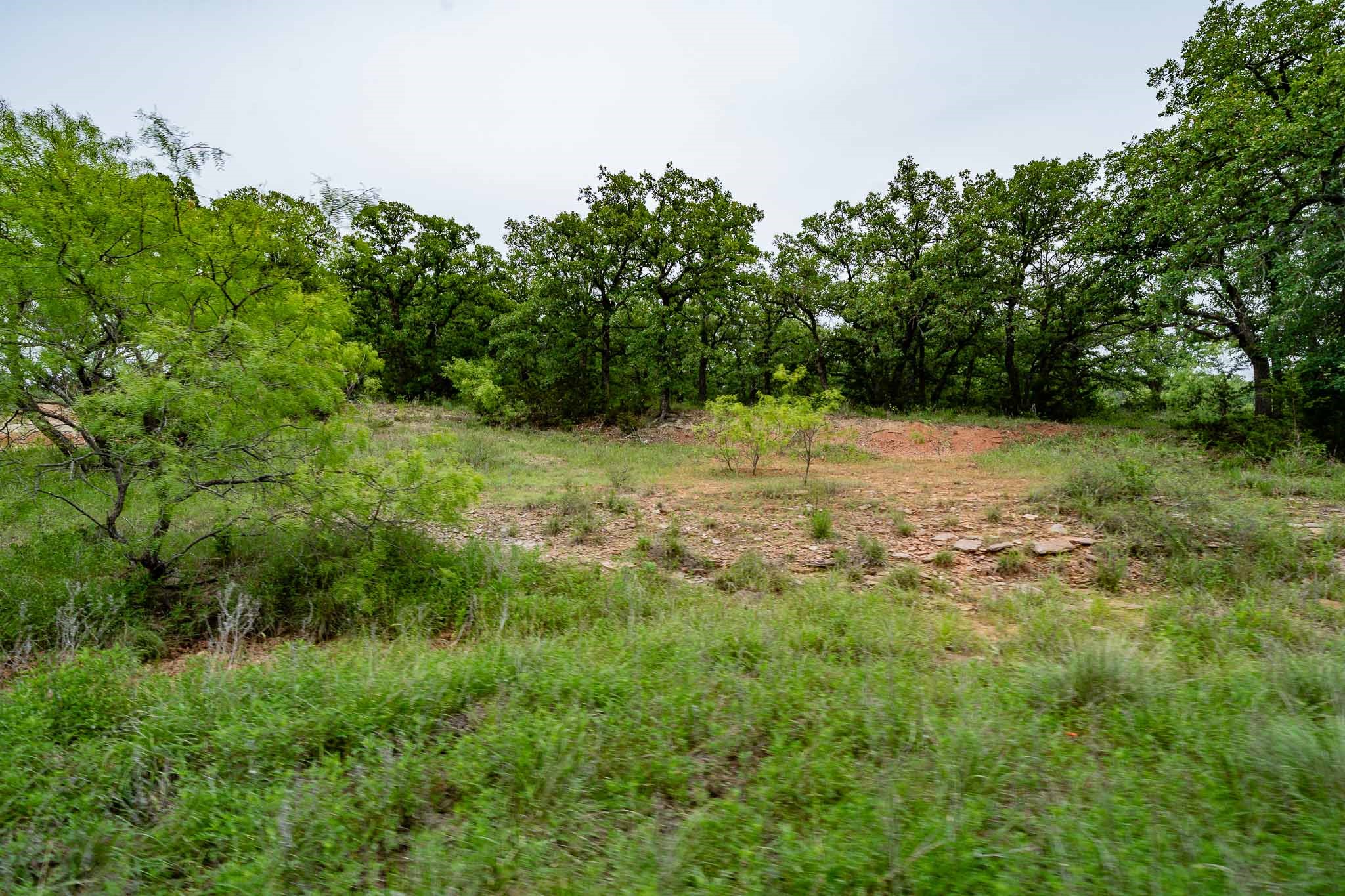 Tbd Fm 880 S Cross Plains TX 76443