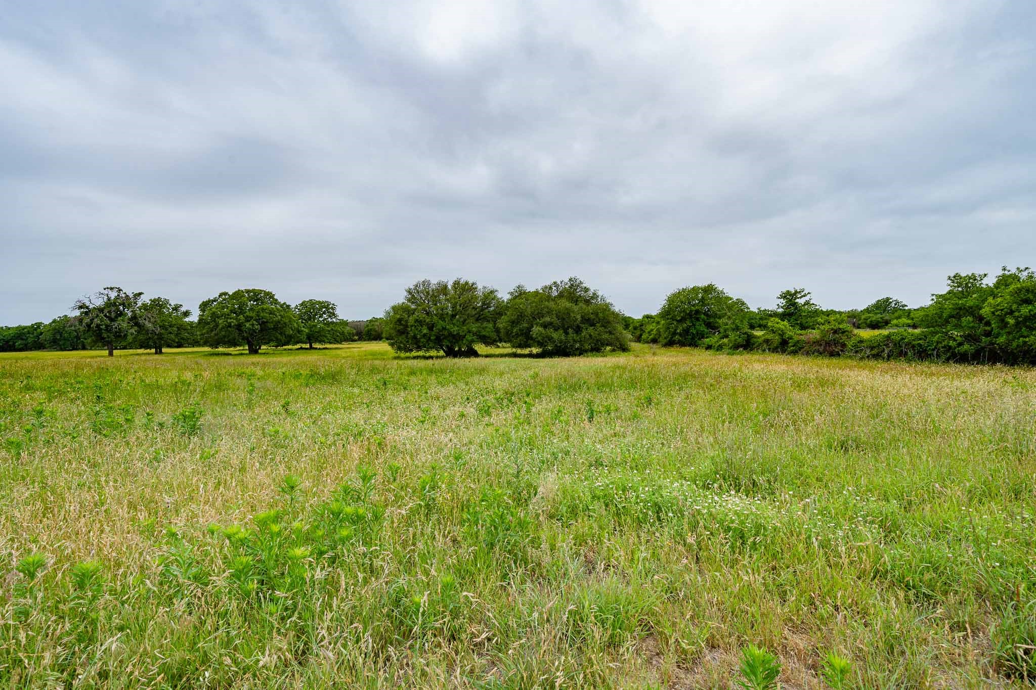 Tbd Fm 880 S Cross Plains TX 76443