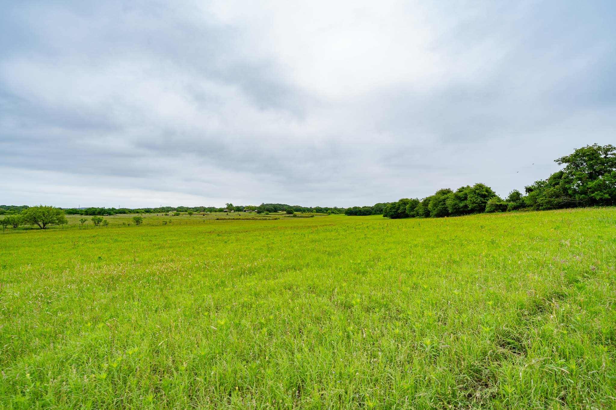 Tbd Fm 880 S Cross Plains TX 76443
