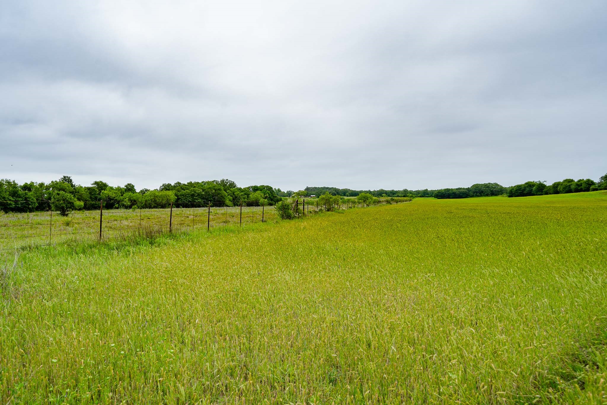 Tbd Fm 880 S Cross Plains TX 76443